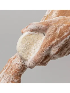 Ondo Beauty 36.5 Centella Asiática|Ducha|AHA & Shea Butter Renewing Body Wash